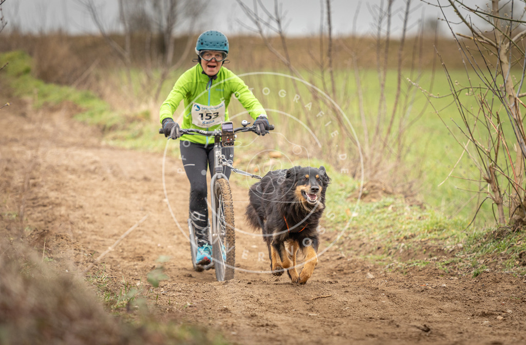DV3A1553 | Hundefotografie, Tierfotograf, Pfotenfotografie, Fotoshooting Hund, Hunde Portrait, Hundesport, Hundeportraits, Heideshooting, Hunde, Sportfotograf, Hundefotograf, Turnierhundsport, THS,  - Realisiert mit Pictrs.com