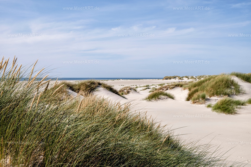 Amrum | Eine grandiose InselAuszeit auf Amrum mit einer ganz besonderen Überraschung - Realisiert mit Pictrs.com