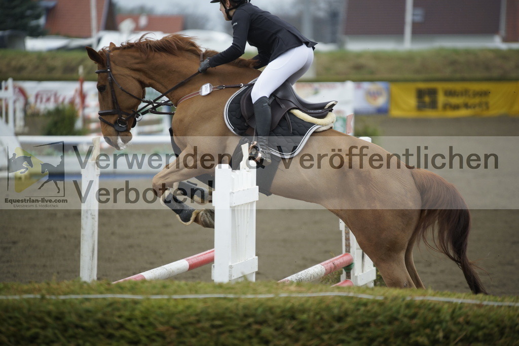_DSC3743 | equestrian-live-com