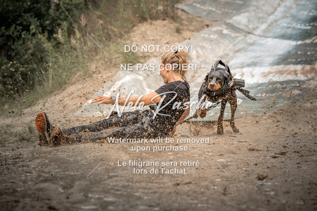 nelerasche_sa1300-1345_450 | nelerasche