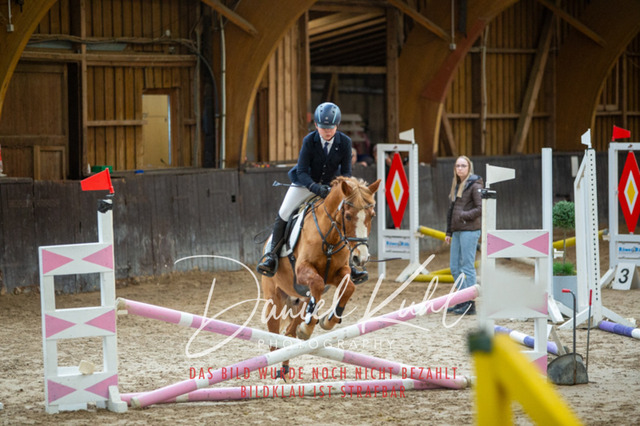 IMG_1766 | Turniersportfotografie; Pferdefotografie; Dressurfotografie