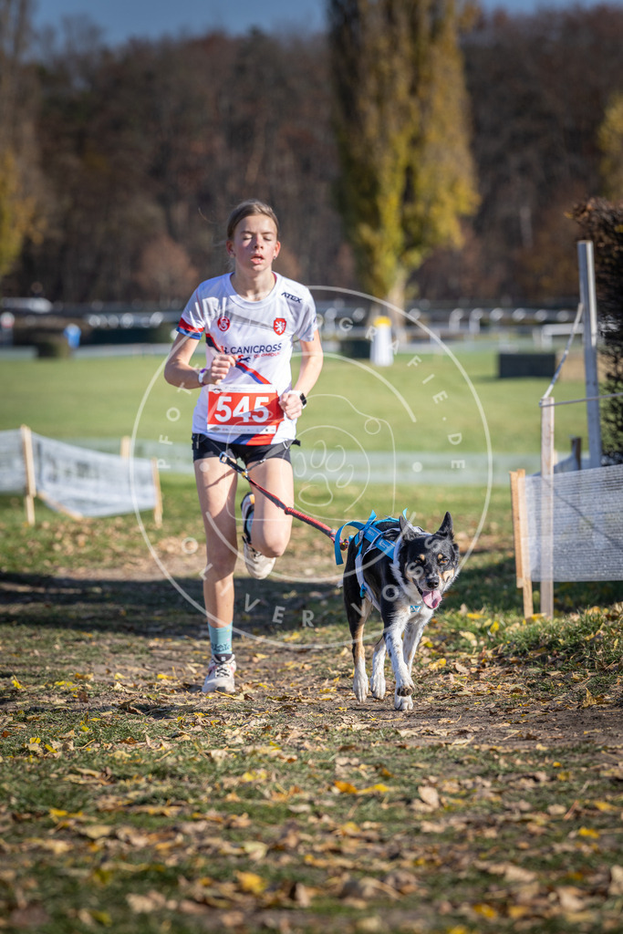 CaniXpix_DV3A8428 | Hundefotografie, Tierfotograf, Pfotenfotografie, Fotoshooting Hund, Hunde Portrait, Hundesport, Hundeportraits, Heideshooting, Hunde, Sportfotograf, Hundefotograf, Turnierhundsport, THS,  - Realisiert mit Pictrs.com