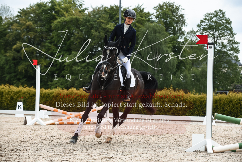 20230518_JK-Röhrsdorf-10-472 | Pferde- und Turnierfotografie in Westsachsen. Pferdeportraits, Auftragszeichnungen und intuitive Kunst.