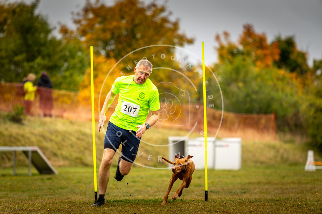 Pfotenfotografie_DV3A2194 | Hundefotografie, Tierfotograf, Pfotenfotografie, Fotoshooting Hund, Hunde Portrait, Hundesport, Hundeportraits, Heideshooting, Hunde, Sportfotograf, Hundefotograf, Turnierhundsport, THS,  - Realisiert mit Pictrs.com