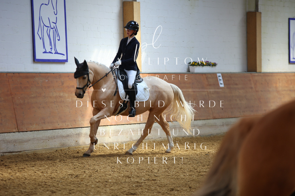 IMGT3954 | pl-fotografie