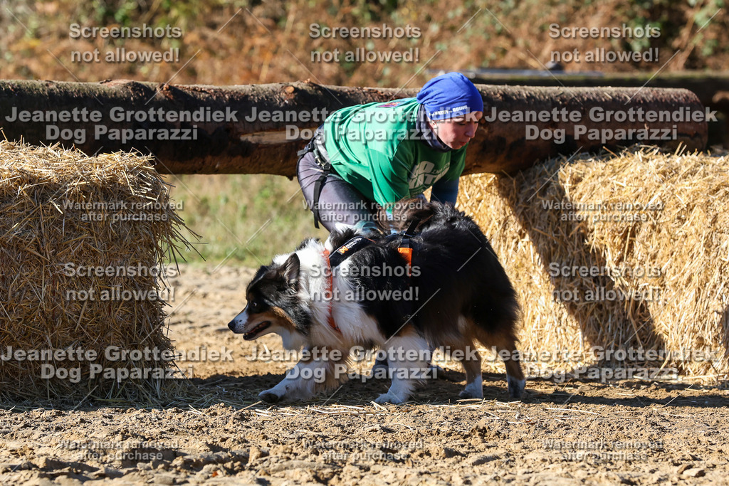 Dog Paparazzi - Strongdog 10-25-2300 | Dog Paparazzi Jeanette Grottendiek Fotografie & Videografie - Realisiert mit Pictrs.com