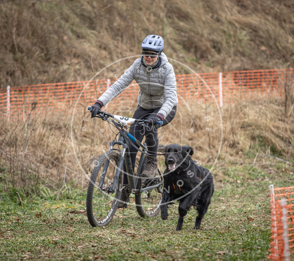 Pfotenfotografie_DV3A9949 | Hundefotografie, Tierfotograf, Pfotenfotografie, Fotoshooting Hund, Hunde Portrait, Hundesport, Hundeportraits, Heideshooting, Hunde, Sportfotograf, Hundefotograf, Turnierhundsport, THS,  - Realisiert mit Pictrs.com