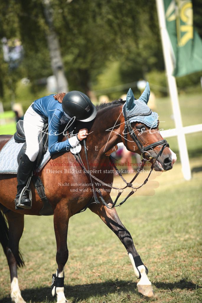 DSC_6779 | Pferde- und Turnierfotografie in Westsachsen. Pferdeportraits, Auftragszeichnungen und intuitive Kunst.