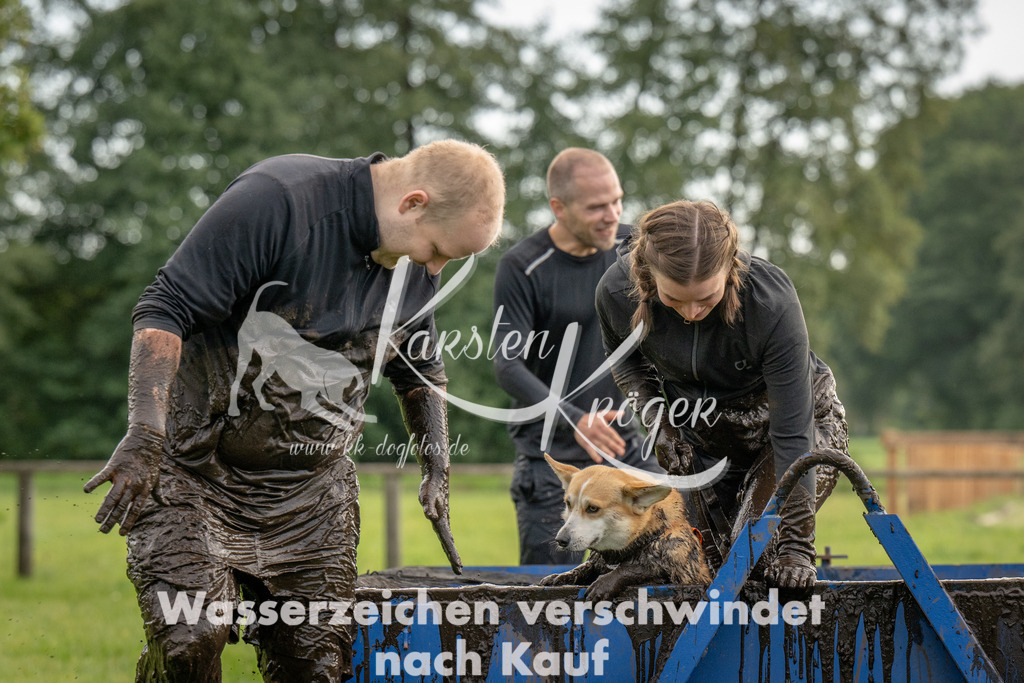 1008_ZZ90743 | kk-dogfotos