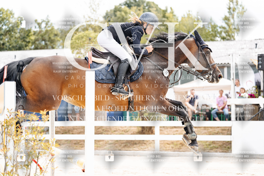 CK901923 | Turnierfotografie Pferdefotografie Trier Rheinland-Pfalz Pferdesport Reitsport Tierfotografie Sportfotografie Pferdevideo Pferdevideografie Equestrianvideography equestrianphotography  - Realisiert mit Pictrs.com