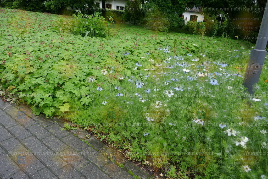 P1110019 | Fotoseite Wolkenblende - Das Hobby fotografieren begleitet mich schon  viele  Jahre. Auf den nächsten Seiten zeige ich ein paar Schnappschüsse der letzten Jahre und es kommen immer neue hinzu. Schau einfach mal rein. - Realisiert mit Pictrs.com
