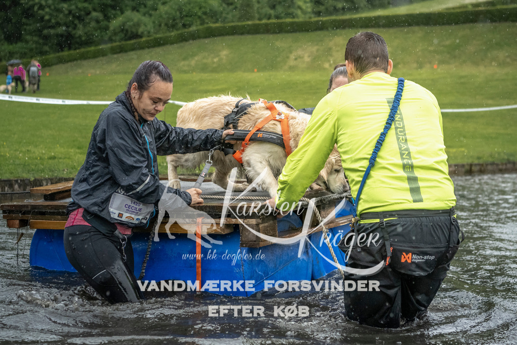1324_ZZ98087 | kk-dogfotos