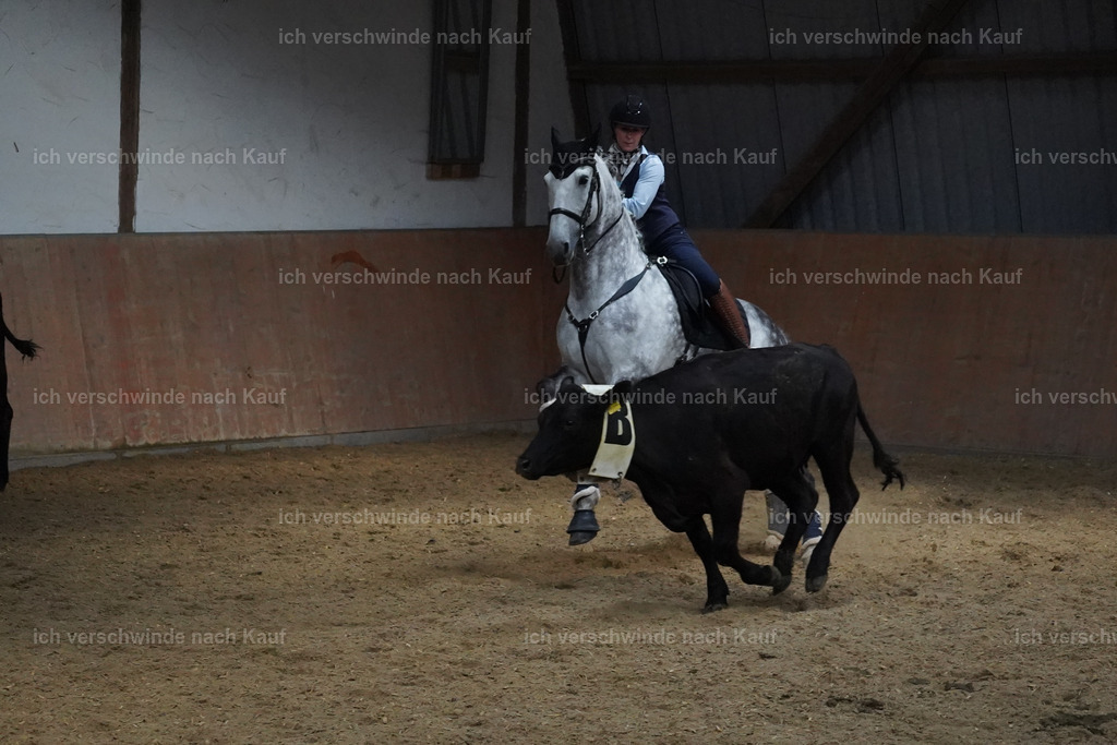 KlasseS_Lucie (21) | working equitationturnier fotograf videograf stoibphotography marixx film working equitation deutschland reitsport turnierfotografie eventfotografie equestrian events