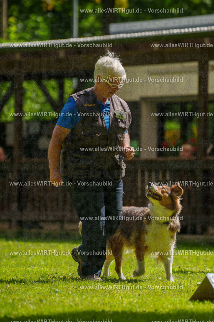 @allesWIRTHgut_Tierfotografie - www.allesWIRTHgut.de - 100721-7R508077 | Professionelle Tierfotografie in Mönchengladbach von Daniel Wirth (allesWIRTHgut). Liebevolle & natürliche Bilder von Hunden & Katzen für unvergessliche Erinnerungen.