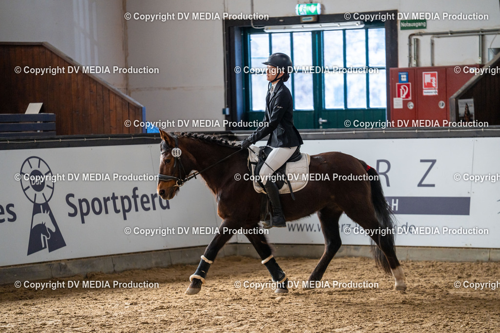 Kranichstein Tag 2-817 | dv-media-shop - Realisiert mit Pictrs.com