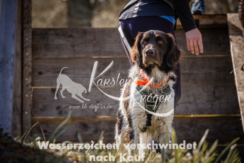 0925_ZZ95592 | kk-dogfotos