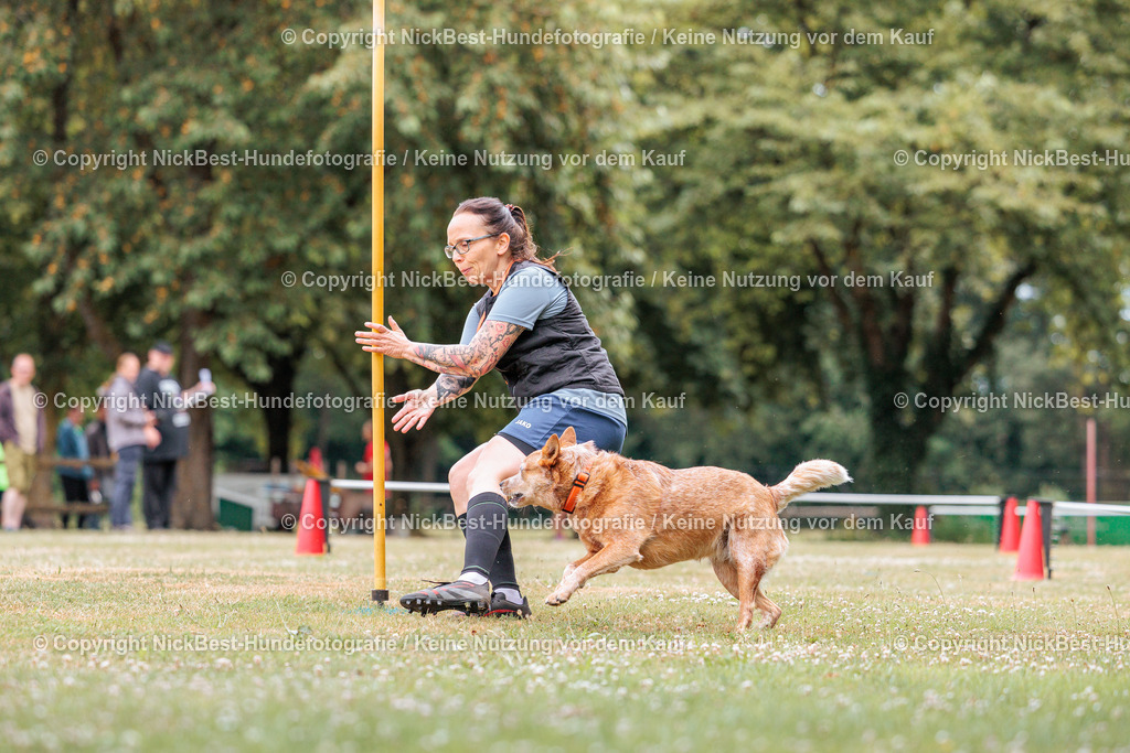 THS-Quakenbrück-2026-Nickbest-Hundefotografie-2543 | Dein Hund! Dein Moment! Deine Erinnerungen! Hundefotografie in Bremen Blumenthal. Ich fange die besonderen Momente deines Vierbeiners ein – ob Indoor mit Blitzanlage oder in der freien Natur. Sicher dir dein Moment und dein Termin für eure Erinnerungen.