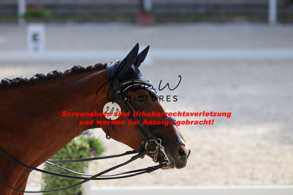 IMG_5705 | lmwpictures - Realisiert mit Pictrs.com