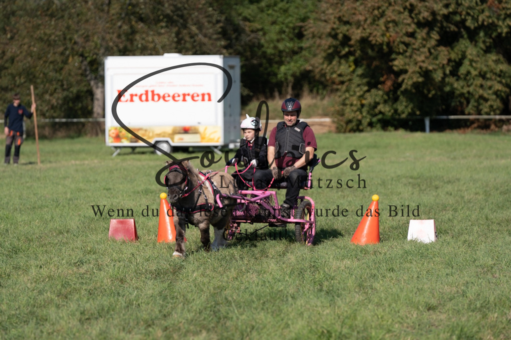 A7V04391 | Pferdefotograf