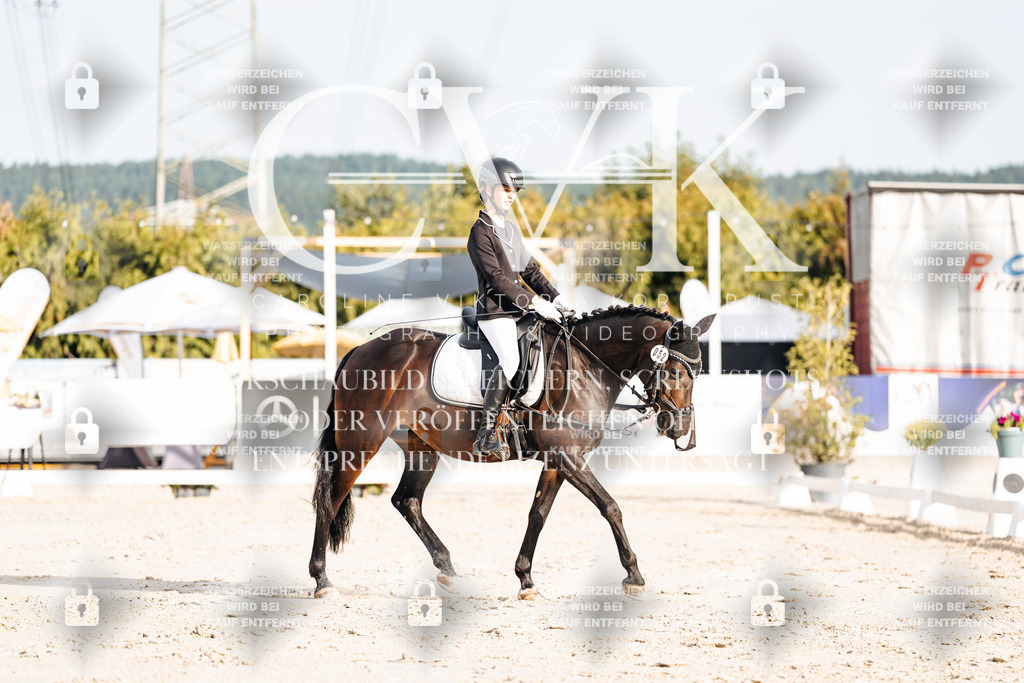 CK903792 | Turnierfotografie Pferdefotografie Trier Rheinland-Pfalz Pferdesport Reitsport Tierfotografie Sportfotografie Pferdevideo Pferdevideografie Equestrianvideography equestrianphotography  - Realisiert mit Pictrs.com