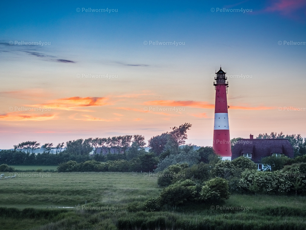 Pellworm-Pellworm-Leuchtturm_20160616-_6160579-HDR-_pictrs | Pellwormer Bilder und Fotos als Poster, auf Leinwand mit Keilrahmen, hinter Acrylglas, auf Alu-Dibond oder Forex-Platte und vieles mehr. Zum verschenken, für die Ferienwohnung oder für zu Hause. - Realisiert mit Pictrs.com