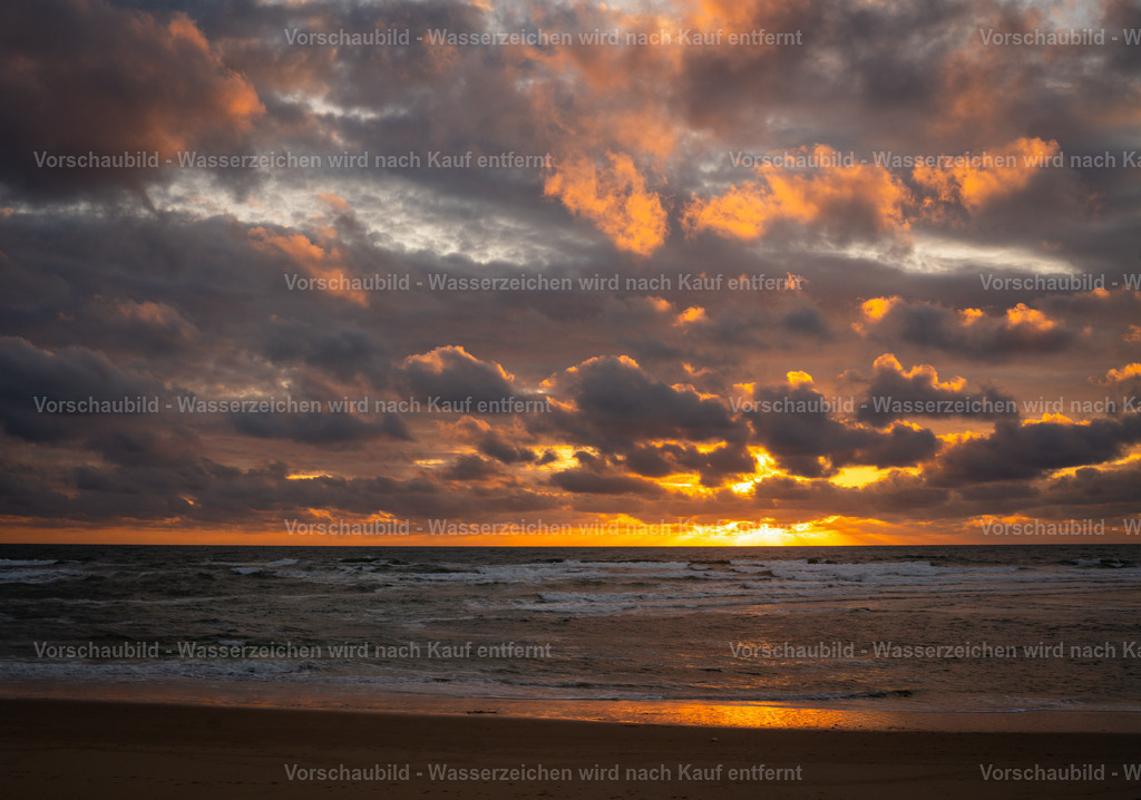 DSC01908-2 | marcuslinek