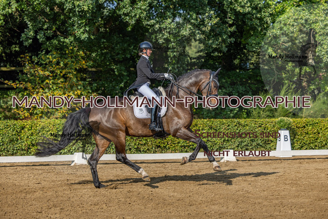 15.8.25 -9- DRE S-138 | mandyhollmannphotographie