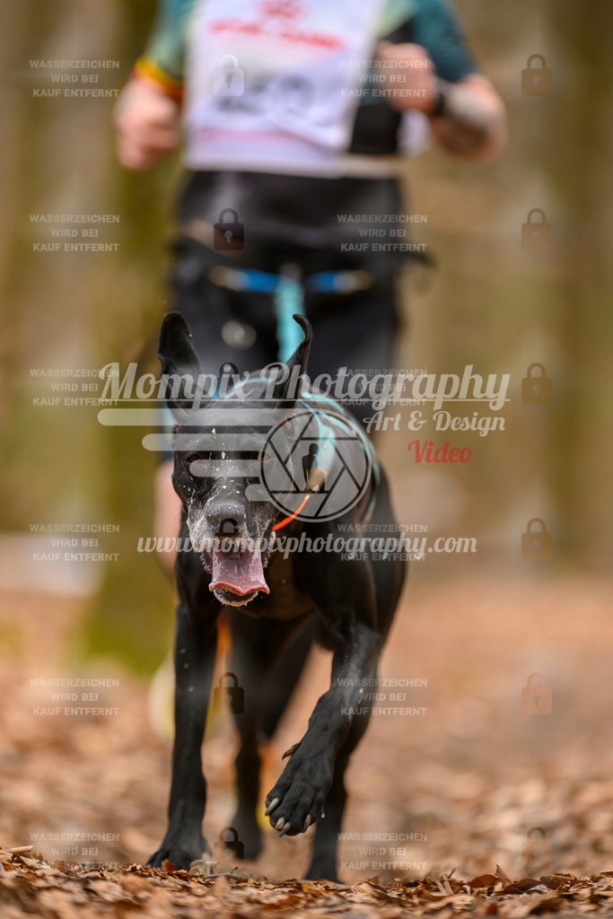 MompixPhotography_Habay2025_SA_CCC-42 | PayLife