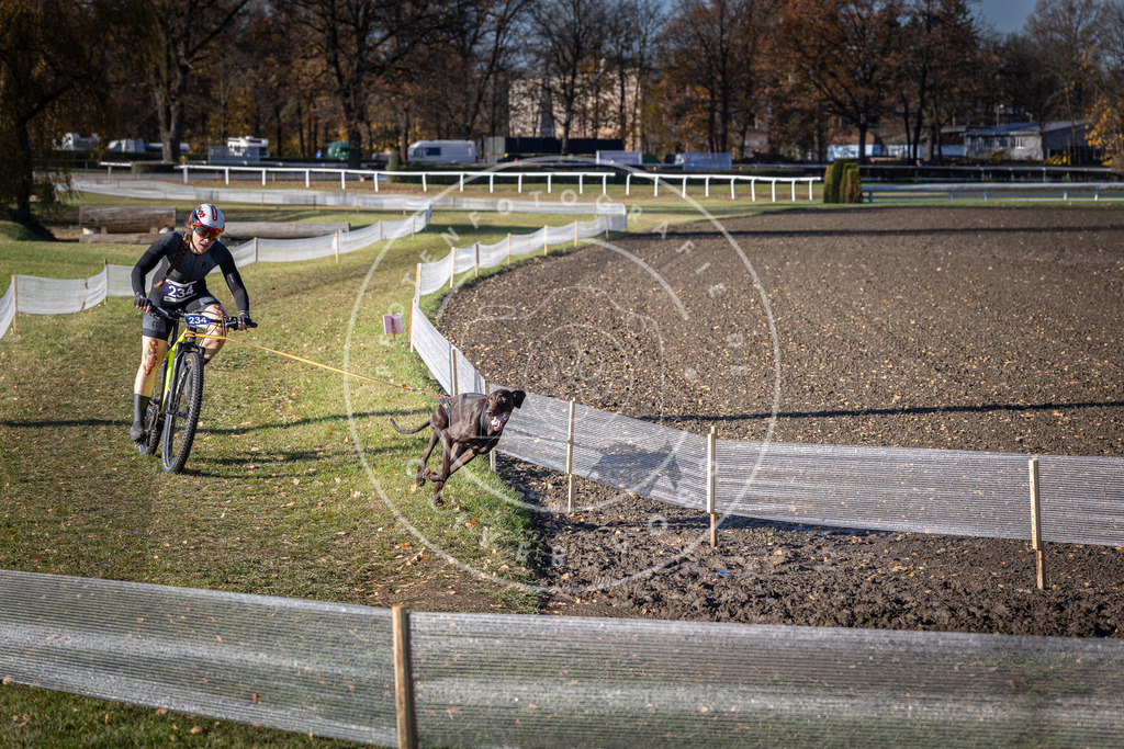 CaniXpix_DV3A4001 | Hundefotografie, Tierfotograf, Pfotenfotografie, Fotoshooting Hund, Hunde Portrait, Hundesport, Hundeportraits, Heideshooting, Hunde, Sportfotograf, Hundefotograf, Turnierhundsport, THS,  - Realisiert mit Pictrs.com