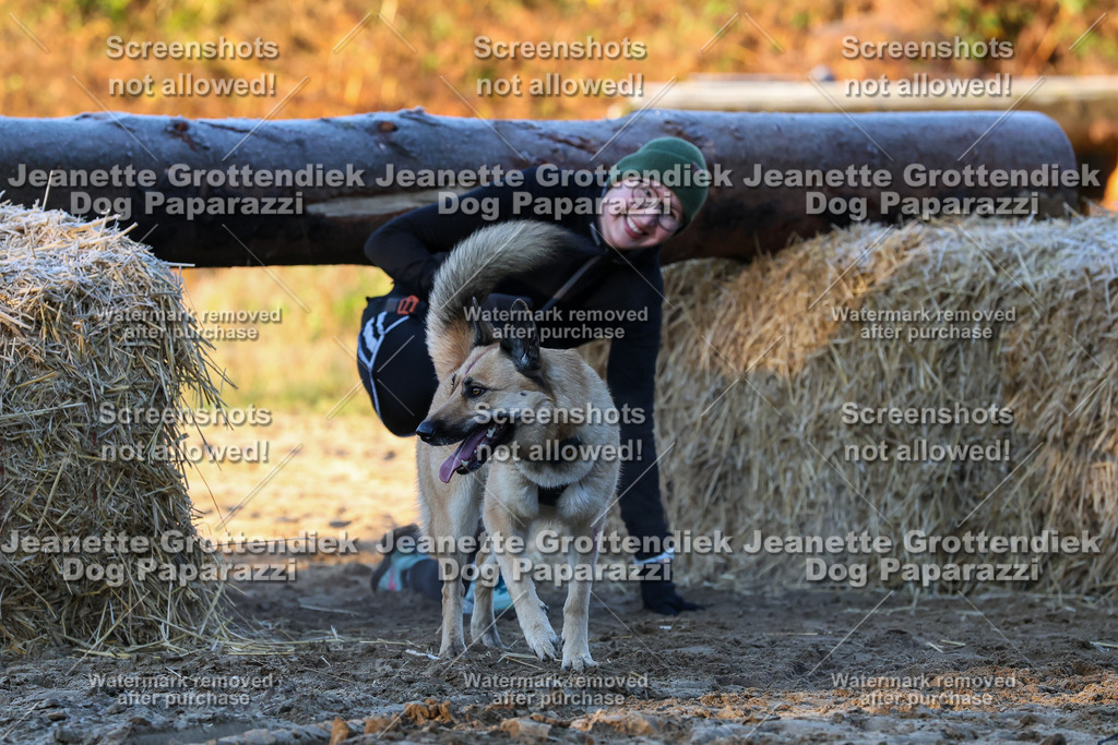 Dog Paparazzi - Strongdog 10-25-554 | Dog Paparazzi Jeanette Grottendiek Fotografie & Videografie - Realisiert mit Pictrs.com