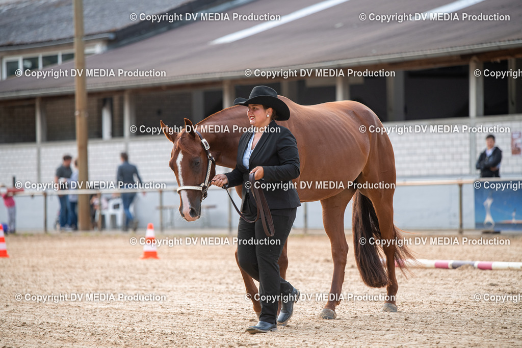 EWP_5511 | dv-media-shop - Realisiert mit Pictrs.com