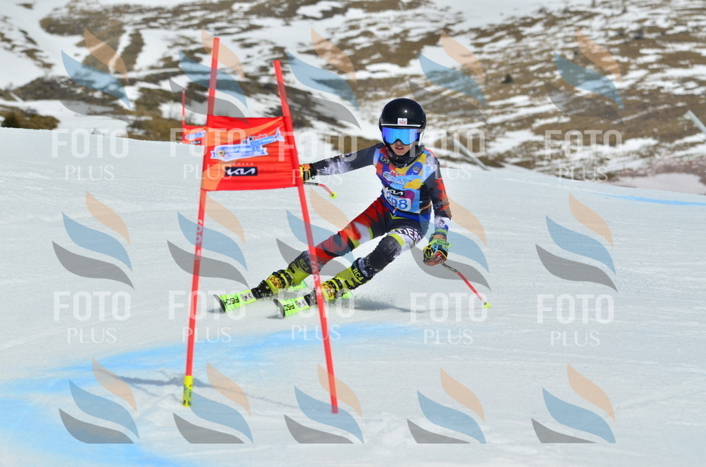 _ELE2154 | holidayphoto