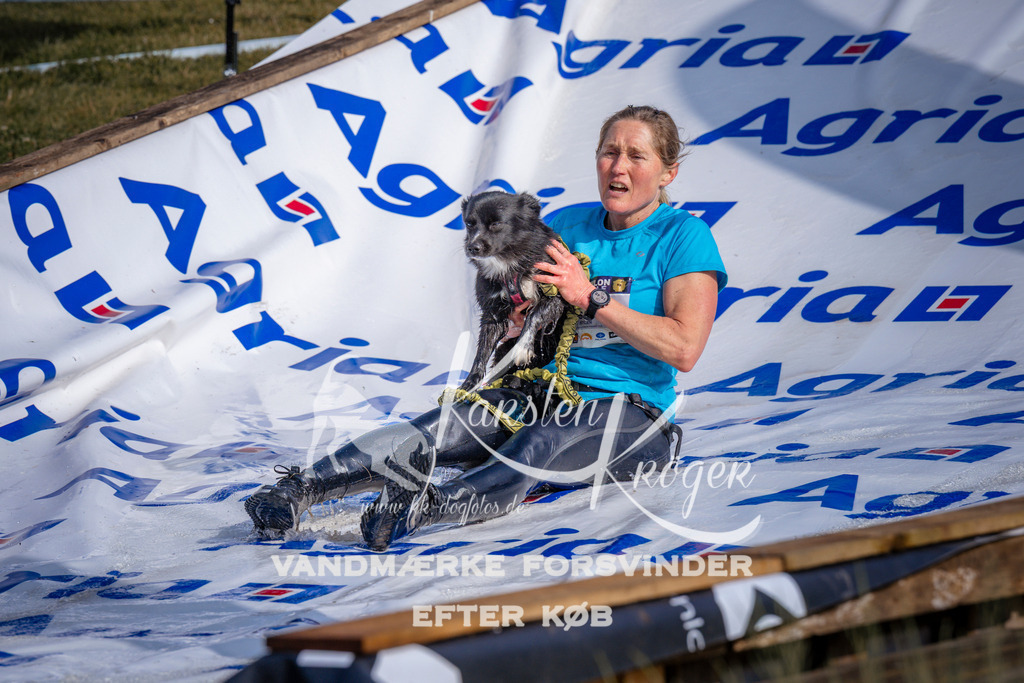 _ZZ952970725 | kk-dogfotos