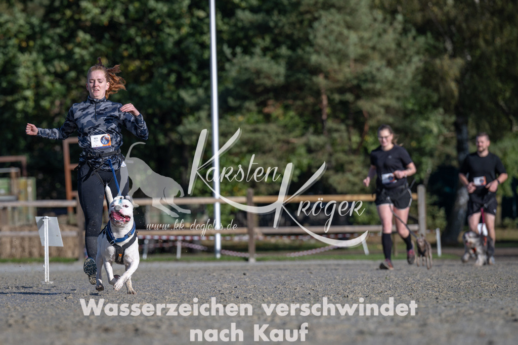 1048-_ZZ92809 | kk-dogfotos