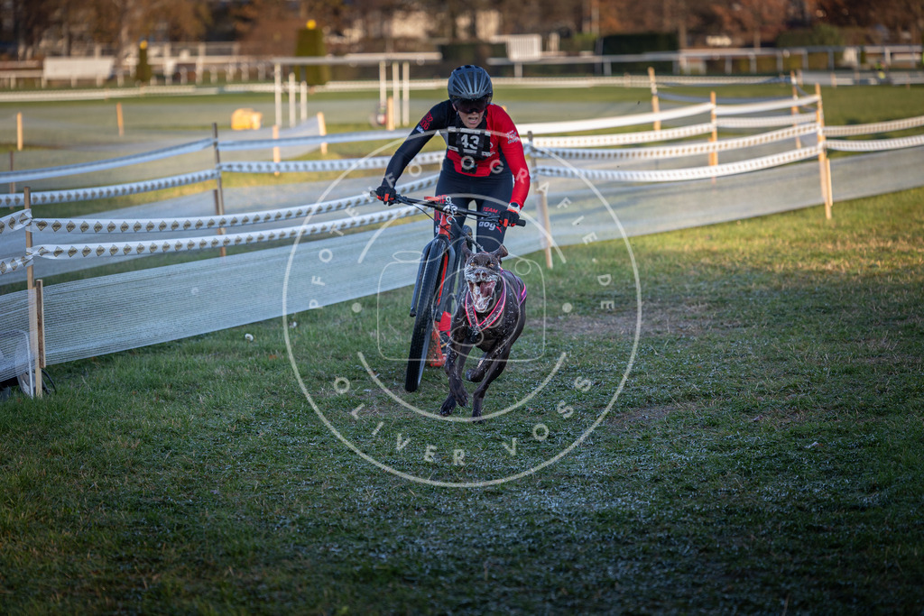 CaniXpix_0L8A2375 | Hundefotografie, Tierfotograf, Pfotenfotografie, Fotoshooting Hund, Hunde Portrait, Hundesport, Hundeportraits, Heideshooting, Hunde, Sportfotograf, Hundefotograf, Turnierhundsport, THS,  - Realisiert mit Pictrs.com