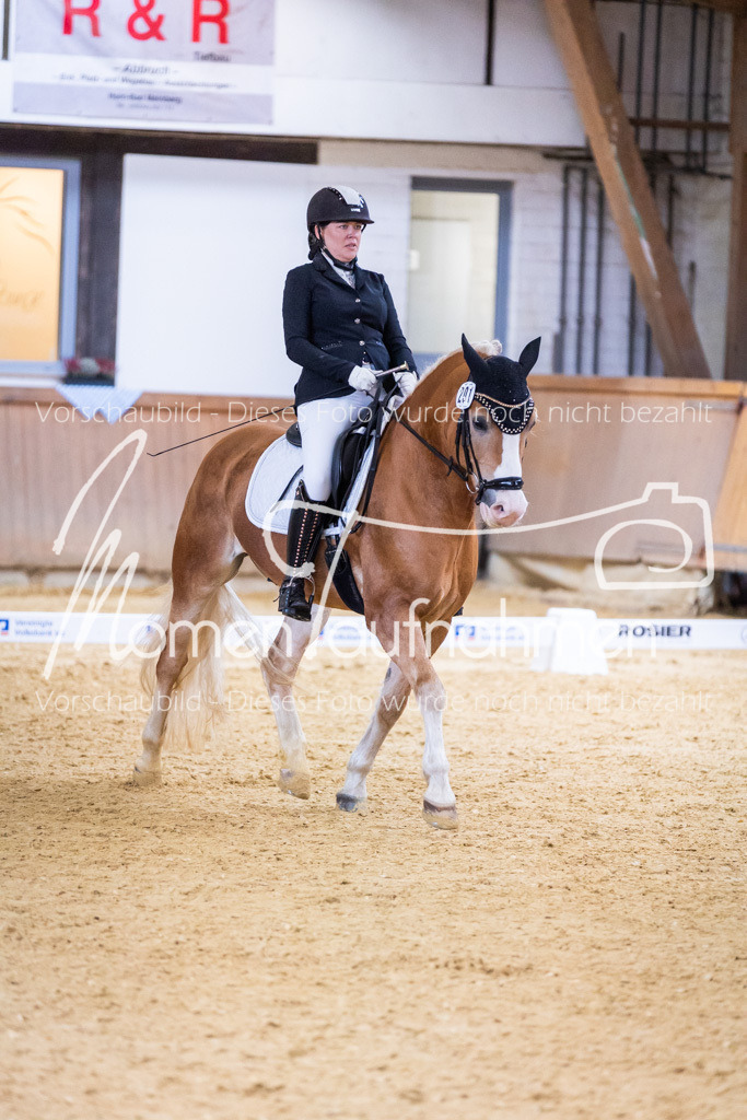 Sth-A-Dre-2St-037 | MomenTaufnahmen Pferdesportfotos