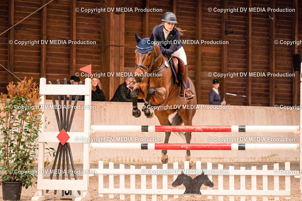 Springen Tag 3-131 | dv-media-shop - Realisiert mit Pictrs.com