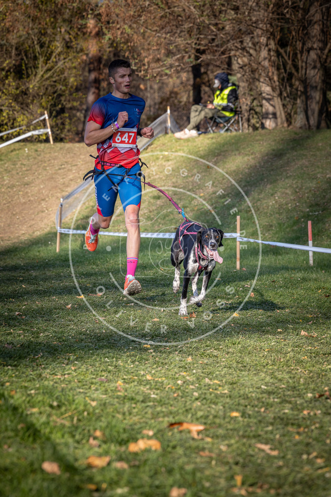 CaniXpix_0L8A9045 | Hundefotografie, Tierfotograf, Pfotenfotografie, Fotoshooting Hund, Hunde Portrait, Hundesport, Hundeportraits, Heideshooting, Hunde, Sportfotograf, Hundefotograf, Turnierhundsport, THS,  - Realisiert mit Pictrs.com