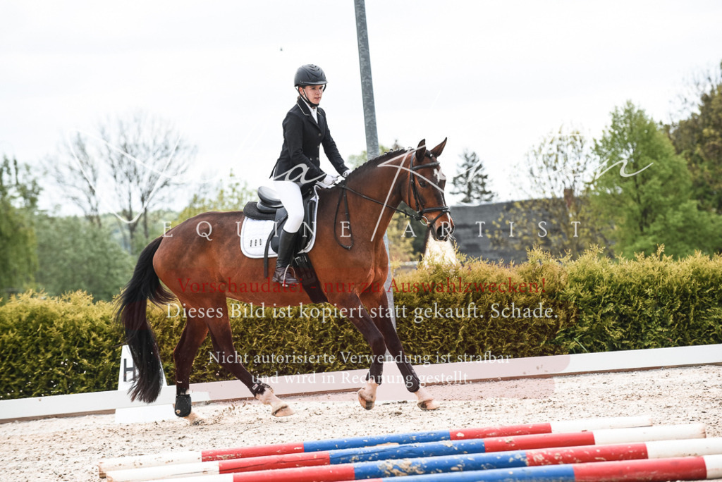 20230518_JK-Röhrsdorf-10-185 | Pferde- und Turnierfotografie in Westsachsen. Pferdeportraits, Auftragszeichnungen und intuitive Kunst.