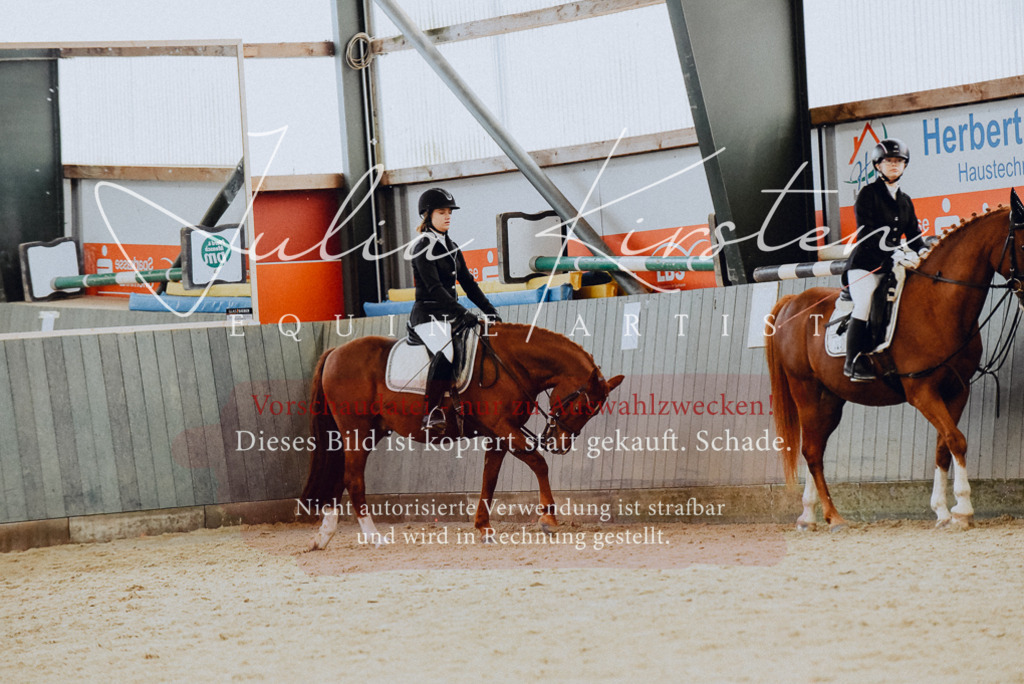 DSC_7290 | Pferde- und Turnierfotografie in Westsachsen. Pferdeportraits, Auftragszeichnungen und intuitive Kunst.