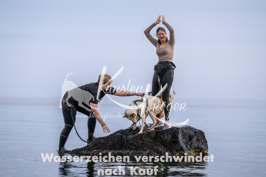 1209_ZZ94954 | kk-dogfotos