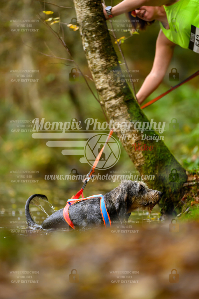 MompixPhotography_20TSB_E1_Run-172 | PayLife
