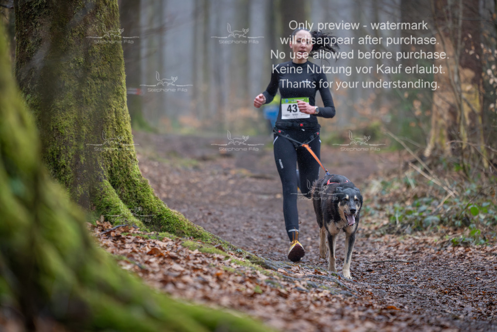 Canix_So-32 | stephaniefillaphotographie - Realisiert mit Pictrs.com