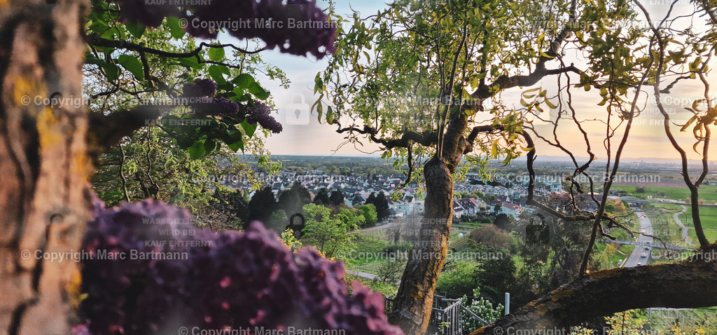 20240412_192938 | Marc Bartmann - Fotografie Schriesheim - Realisiert mit Pictrs.com