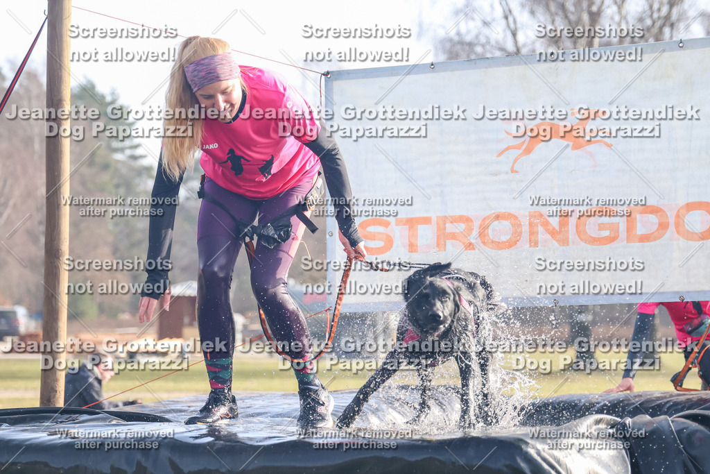 Dog Paparazzi - Strongdog North Mrz26-192 | Dog Paparazzi Jeanette Grottendiek Fotografie & Videografie - Realisiert mit Pictrs.com