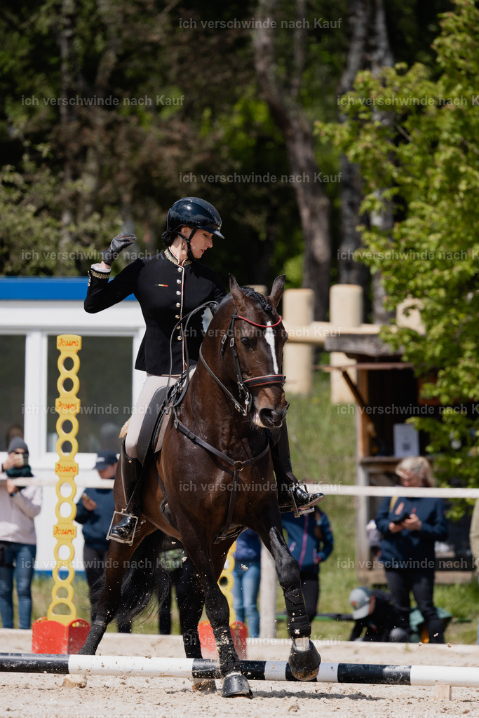 PI26_SP_StoibphotographyC2_C3479.CR3 | working equitationturnier fotograf videograf stoibphotography marixx film working equitation deutschland reitsport turnierfotografie eventfotografie equestrian events