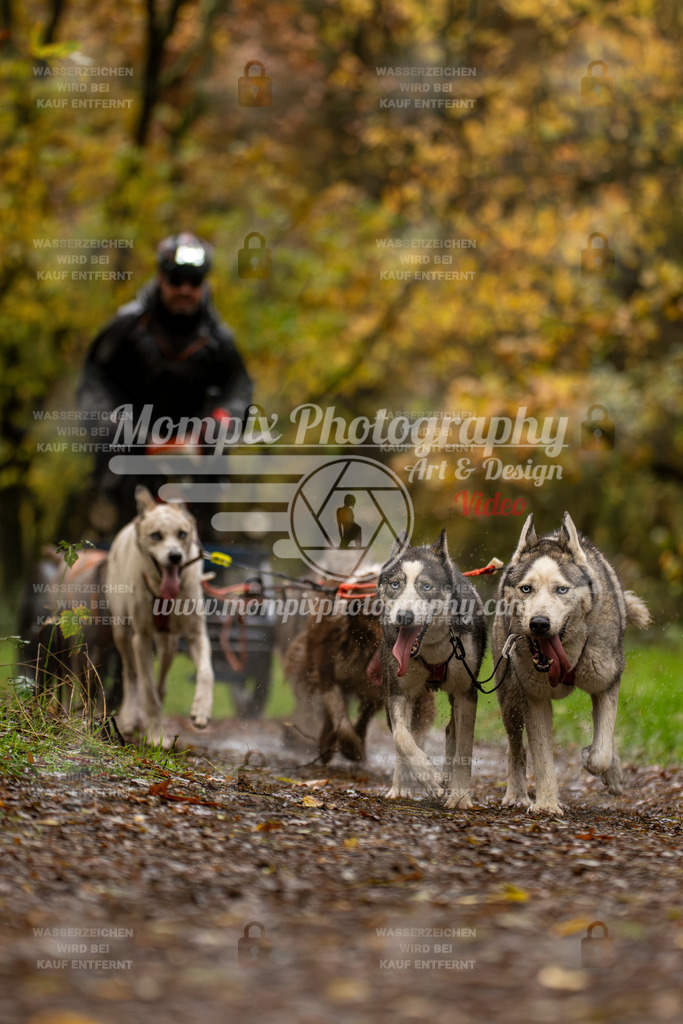 MompixPhotography_Bischwiller23_Kart-20 | PayLife