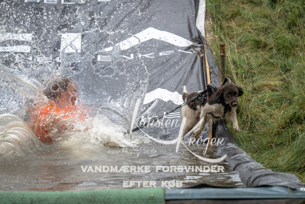 1222_ZZ94795 | kk-dogfotos
