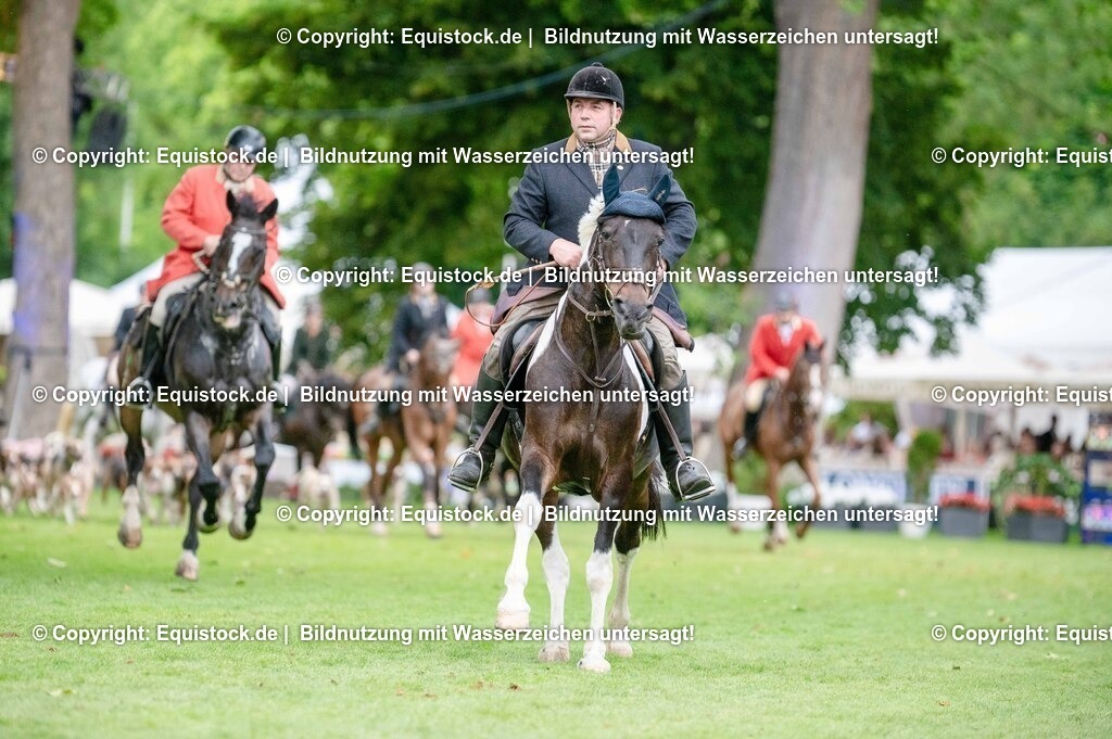 20250606_Lange-Pferdenacht_0491 | Foto: Thomas Hartig