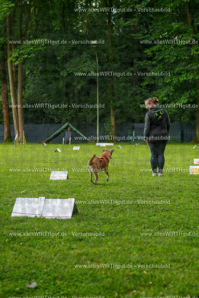 @allesWIRTHgut_Tierfotografie - www.allesWIRTHgut.de - 7R502072 | Professionelle Tierfotografie in Mönchengladbach von Daniel Wirth (allesWIRTHgut). Liebevolle & natürliche Bilder von Hunden & Katzen für unvergessliche Erinnerungen.